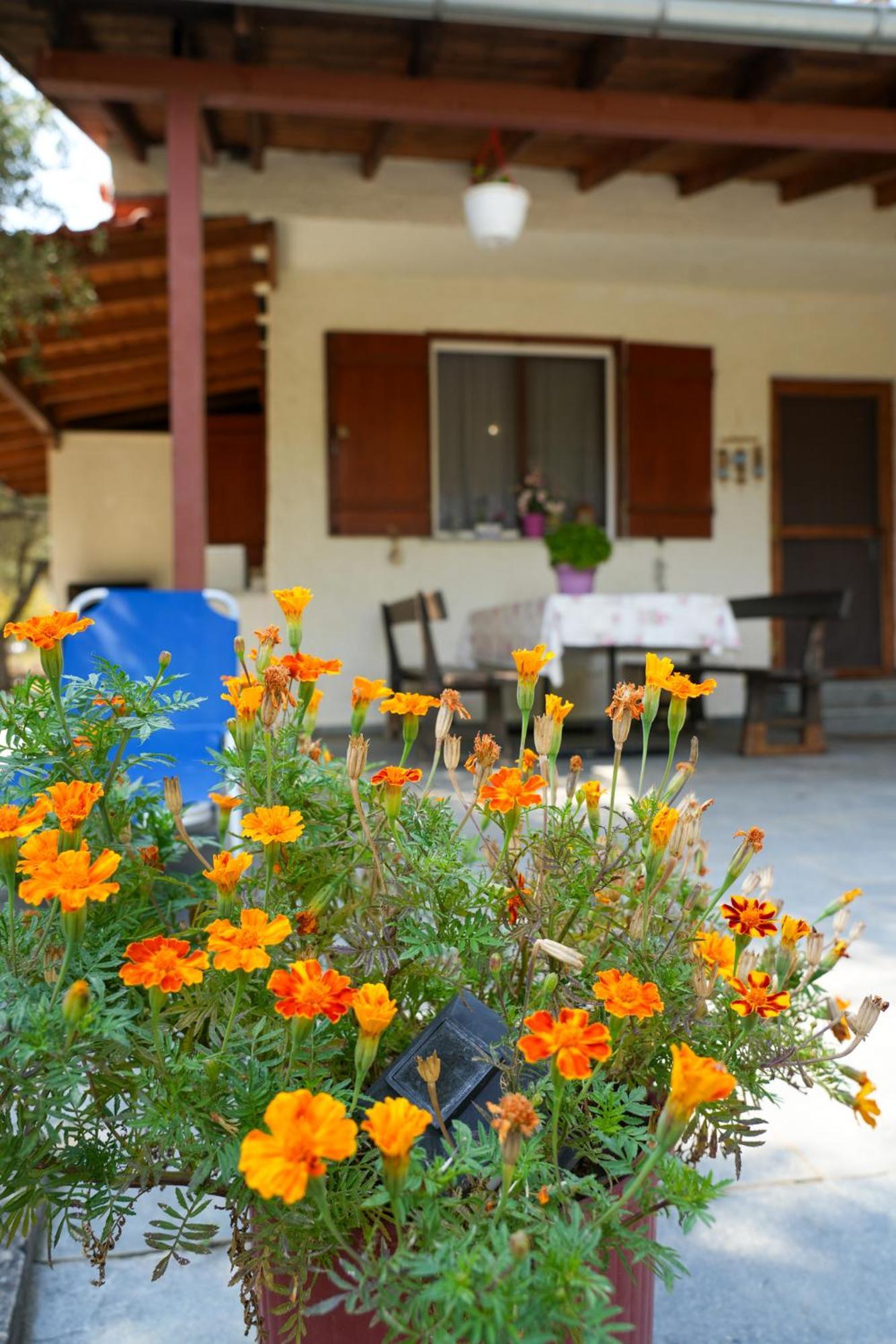 Olive Summer House Chrysi Ammoudia Exterior photo